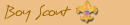 Boy Scouts of America Woodworking Merit Badge Requirements